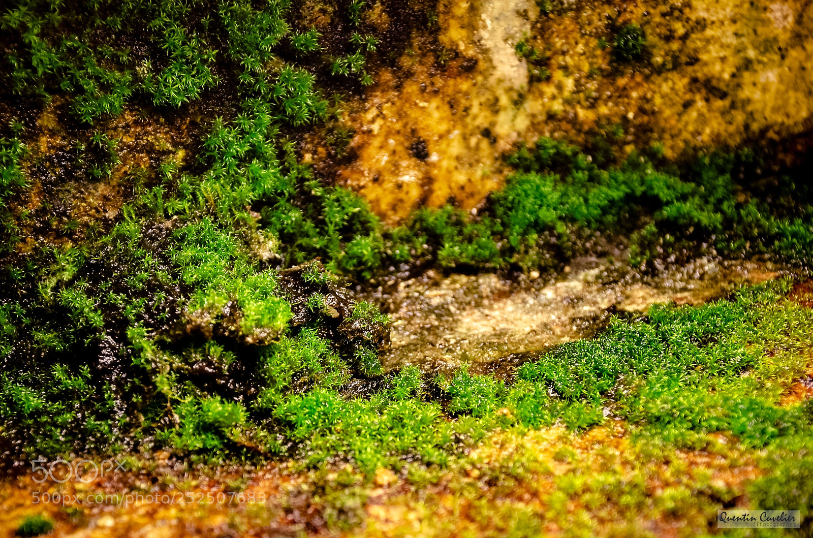 Nikon D7000 sample photo. Catacombes de paris photography