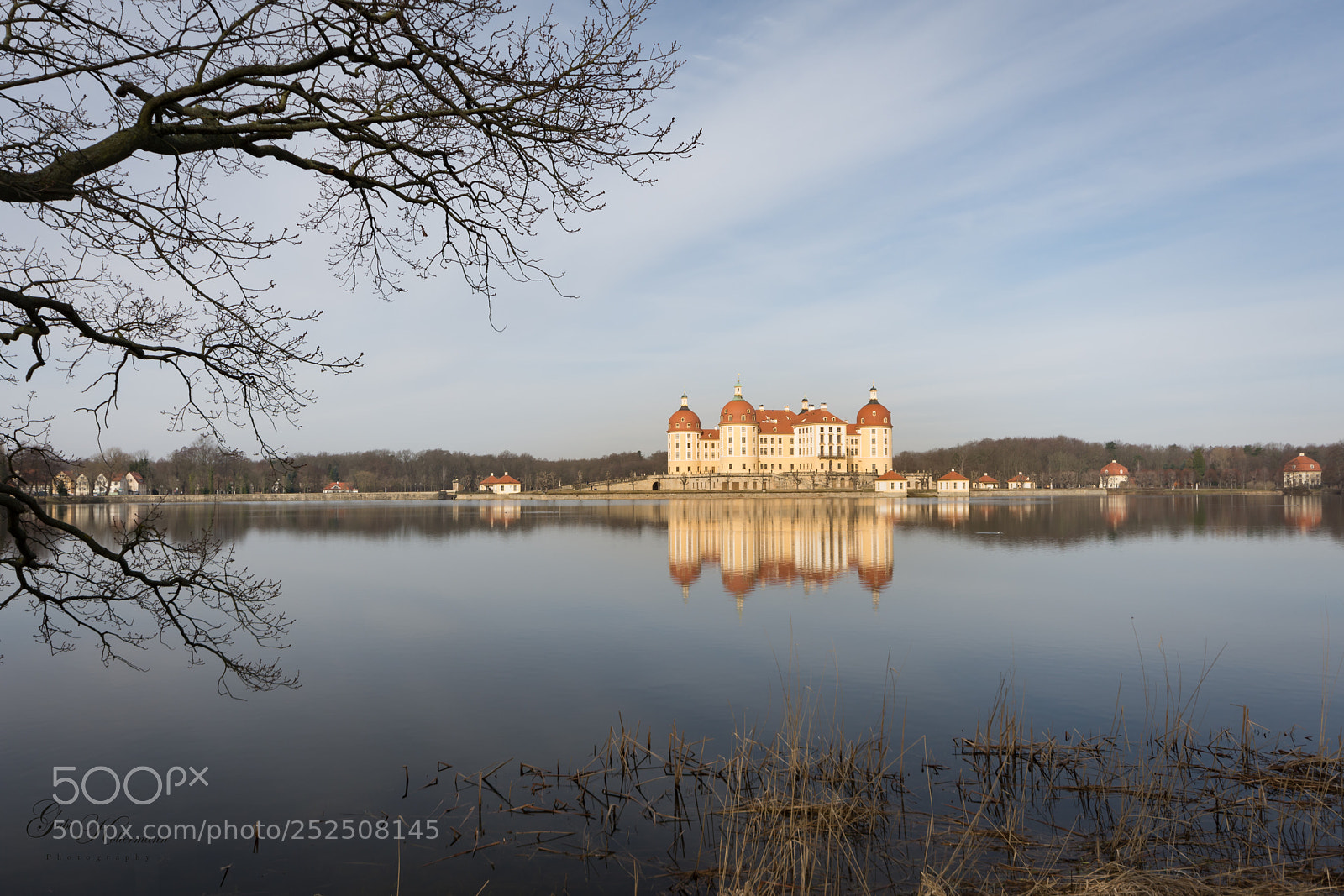 Nikon D7200 sample photo. Schloss moritzburg photography