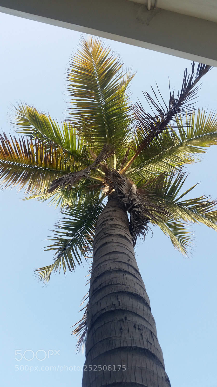 Samsung Galaxy S5 sample photo. Untitled photography