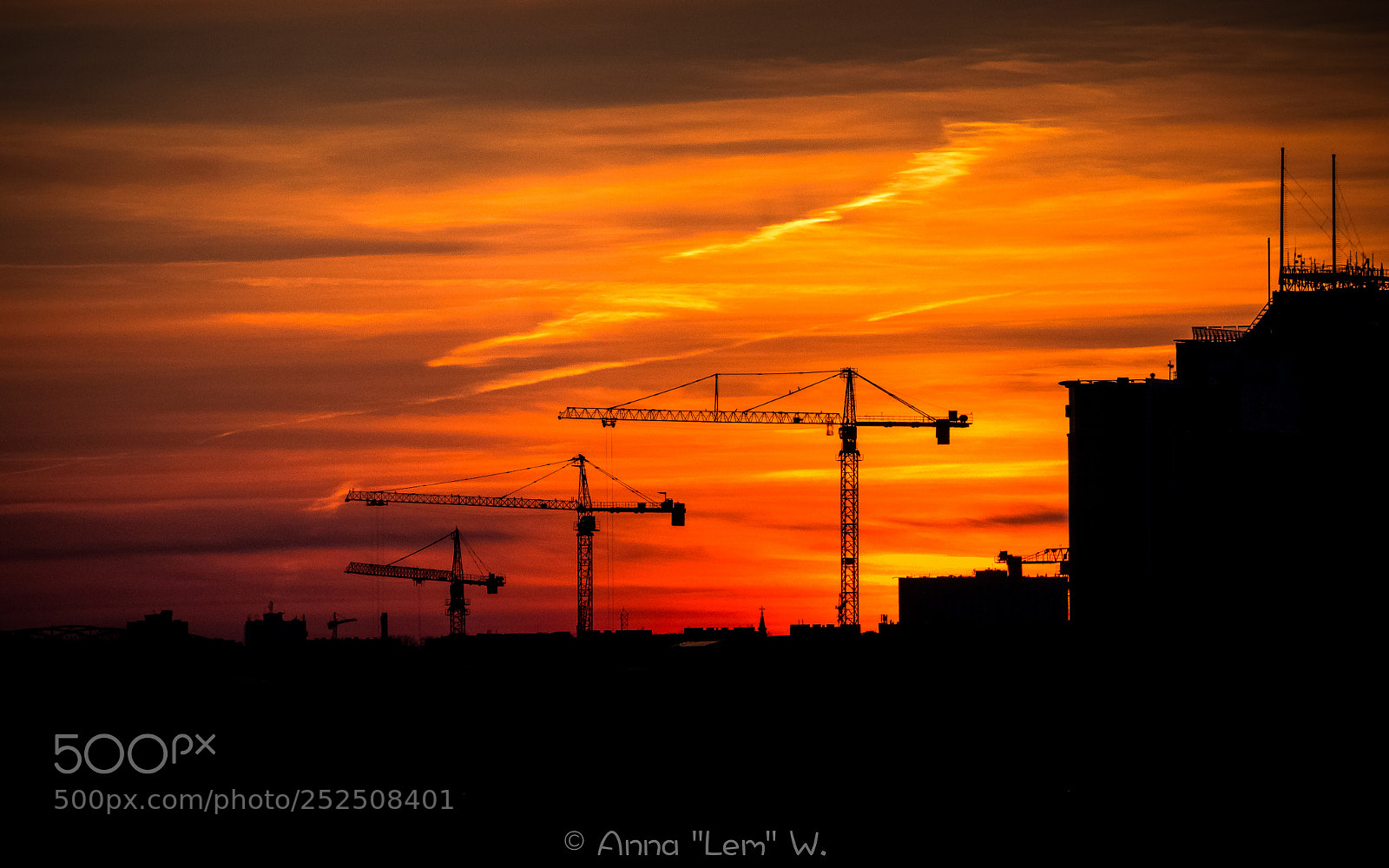 Olympus PEN E-PL5 sample photo. Cranes photography