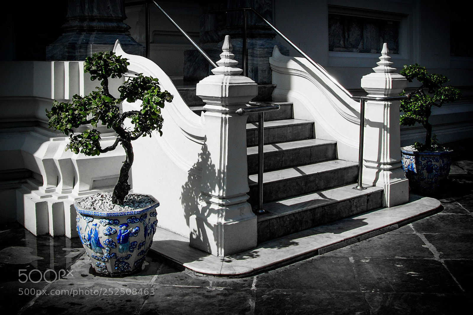 Nikon D80 sample photo. This way photography