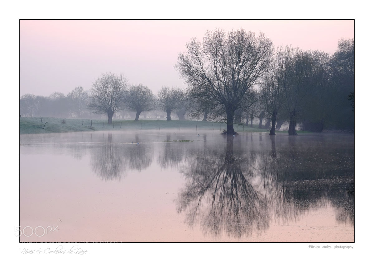 Fujifilm X-T10 sample photo. Un matin reposant photography
