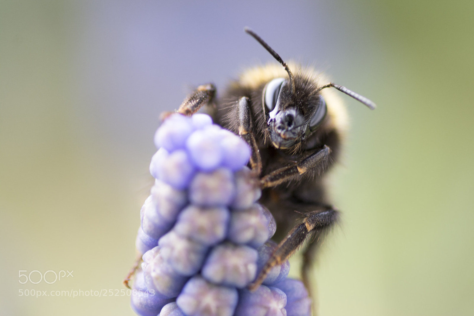Nikon D7100 sample photo. Spring is there photography
