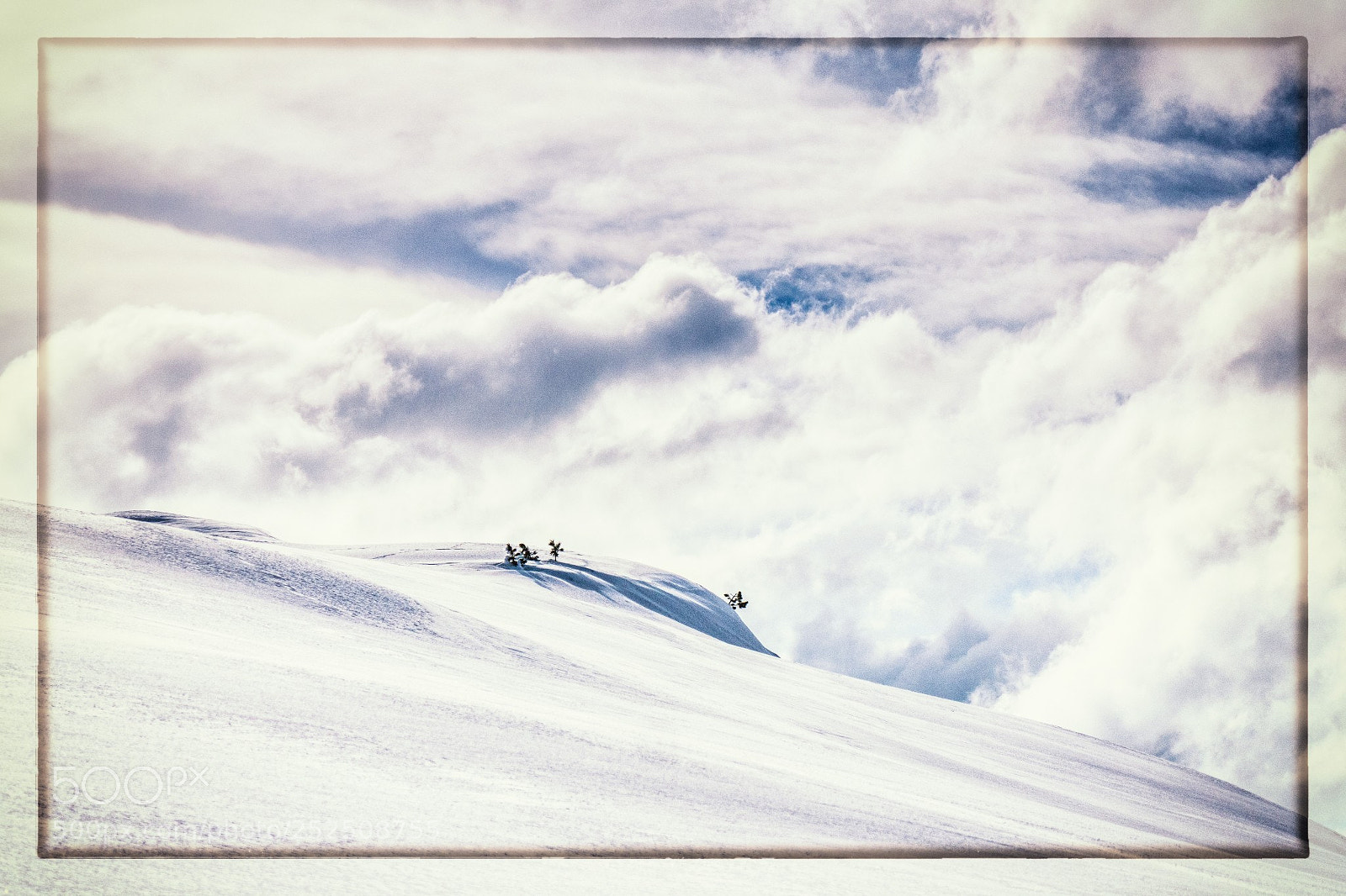 Panasonic DMC-TZ101 sample photo. Riederalp, moosflue photography