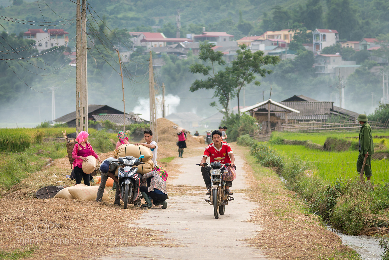 Nikon D800E sample photo. Tu le valley, vietnam photography