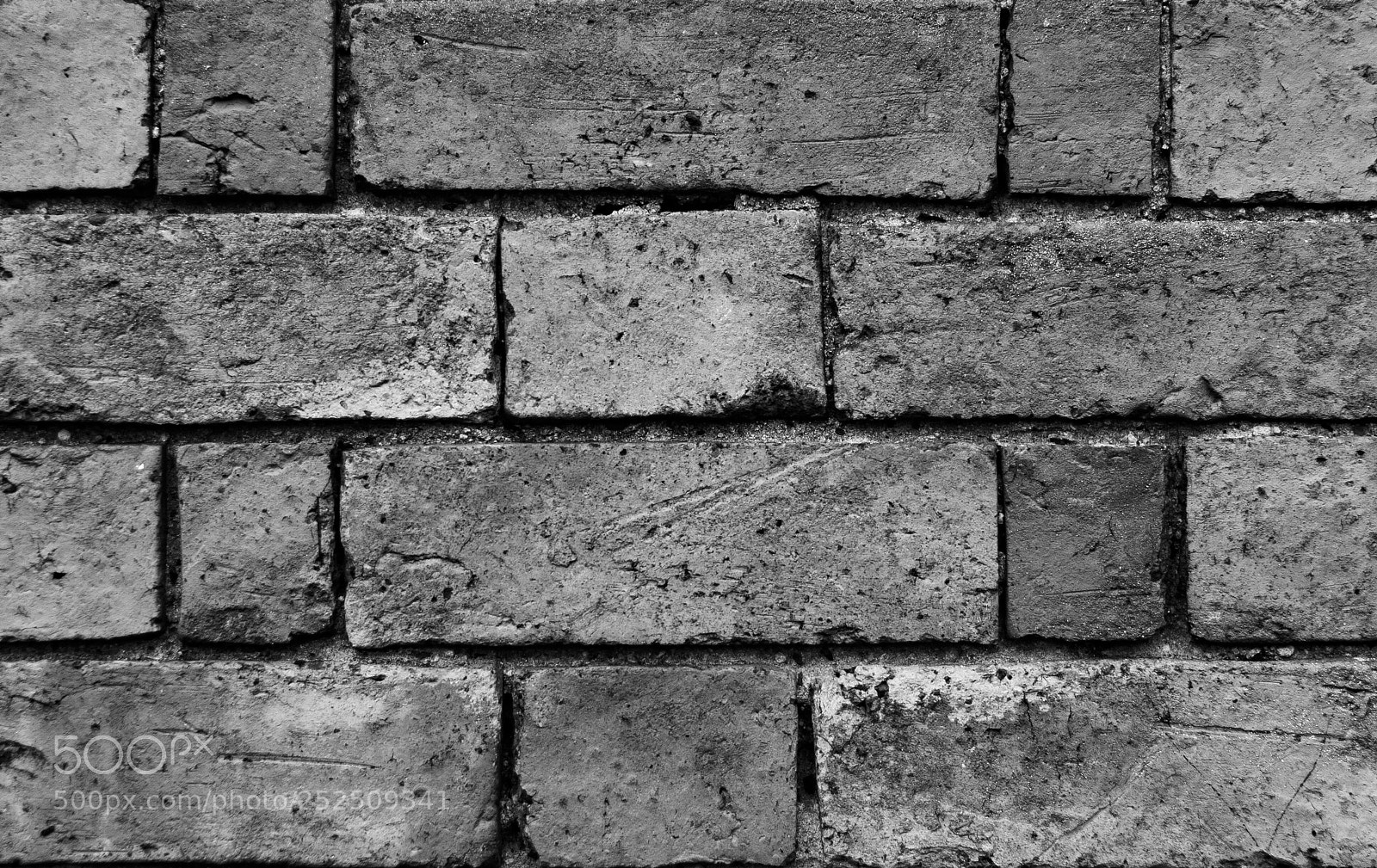 Canon EOS 40D sample photo. Brickwork  photography