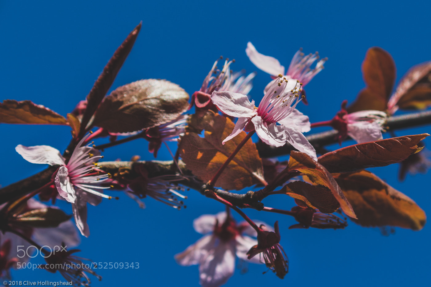 Canon EOS 7D Mark II sample photo. Thrust into the blue photography