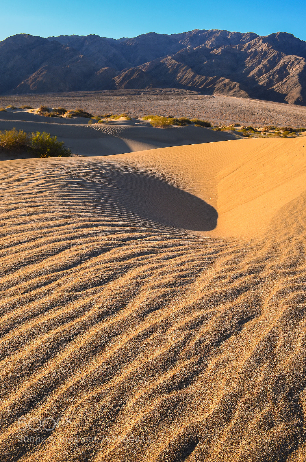 Nikon D5100 sample photo. Sand dimple photography