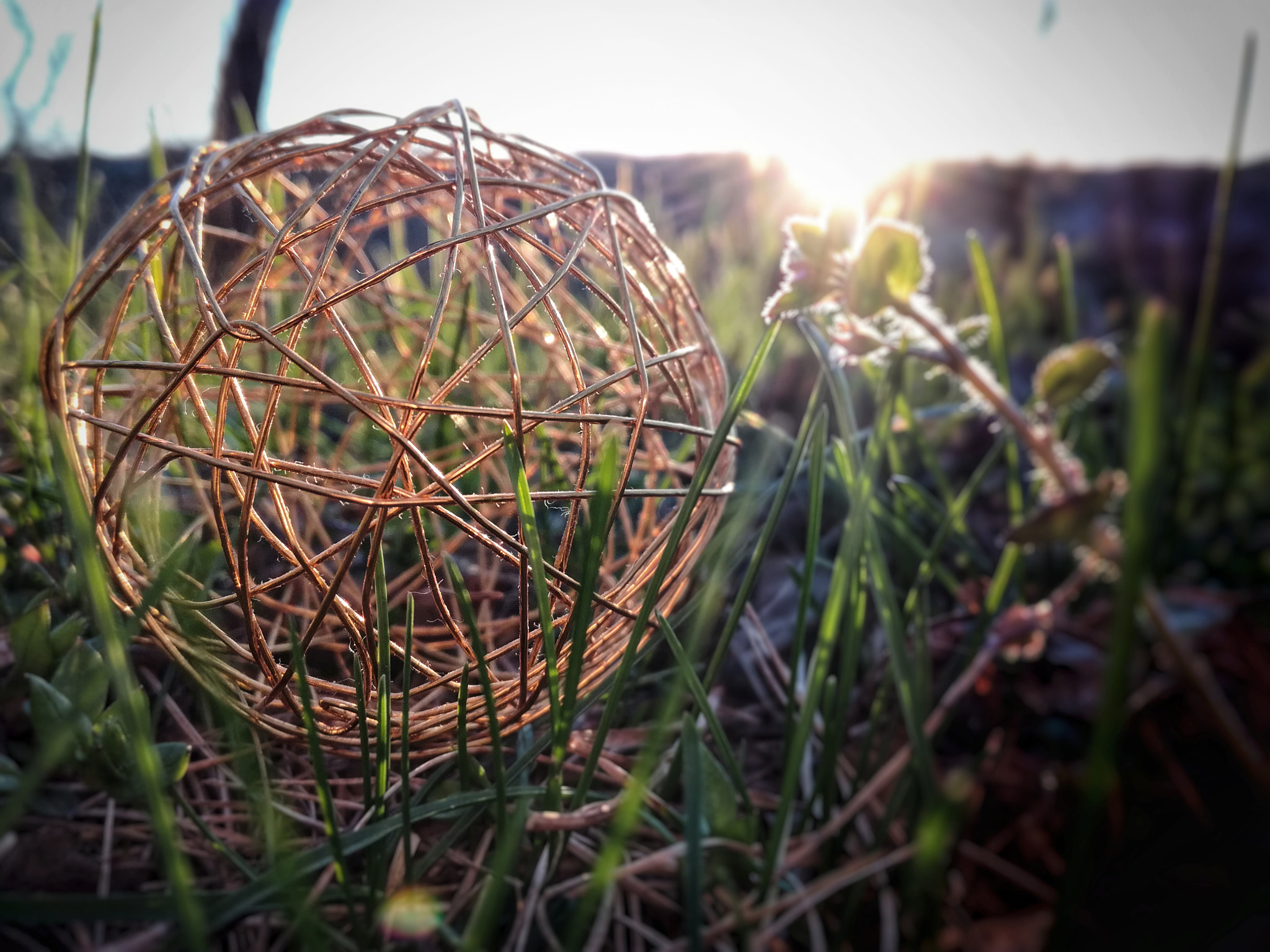 HUAWEI Honor 5C sample photo