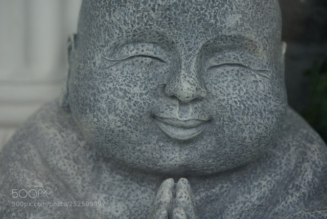 Sony Alpha NEX-6 sample photo. Untitled photography