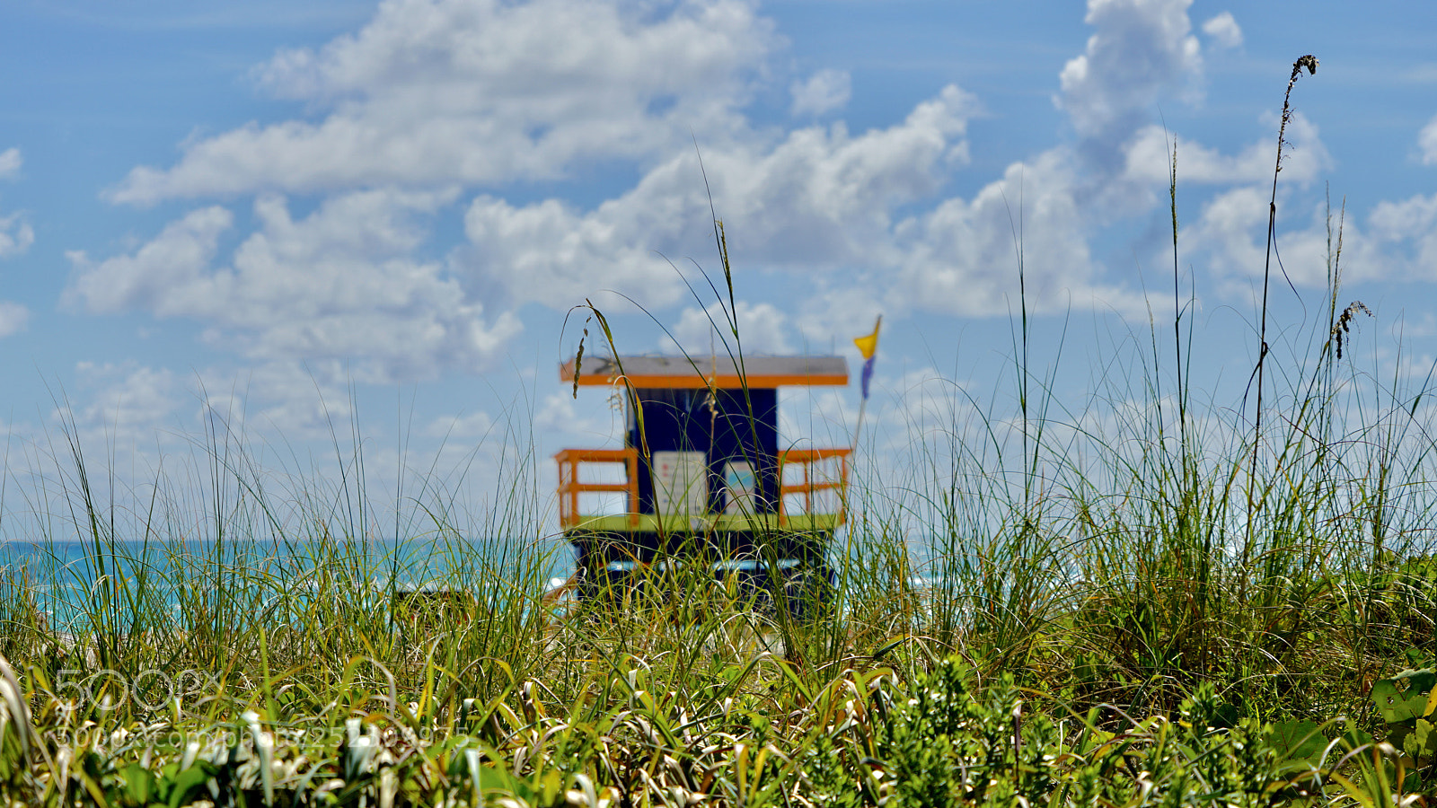 Sony a7R II sample photo. Miami beach photography