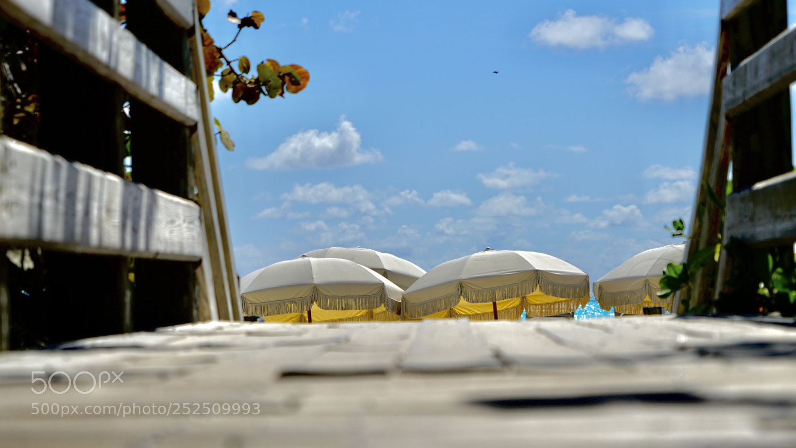 Sony a7R II sample photo. Miami beach photography