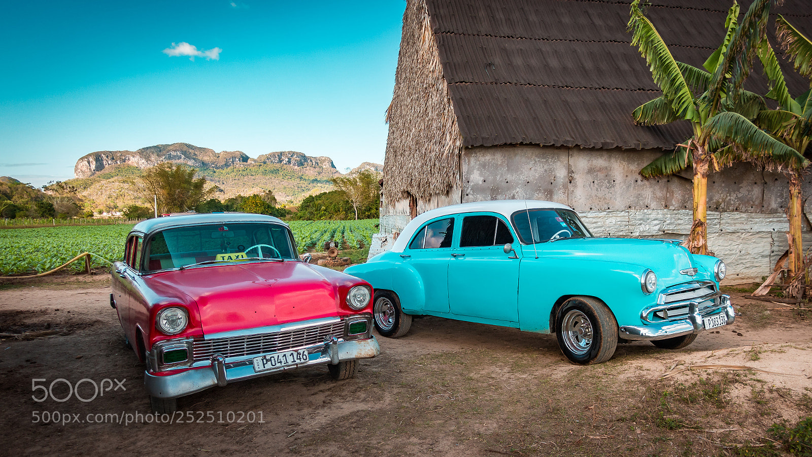 Sony DSC-RX100M5 sample photo. Classics at the tobacco photography