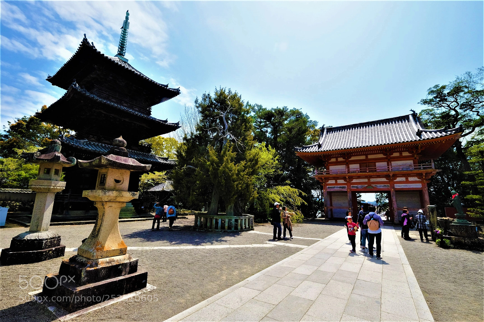 Fujifilm X-T10 sample photo. Precinct in dojoji temple photography