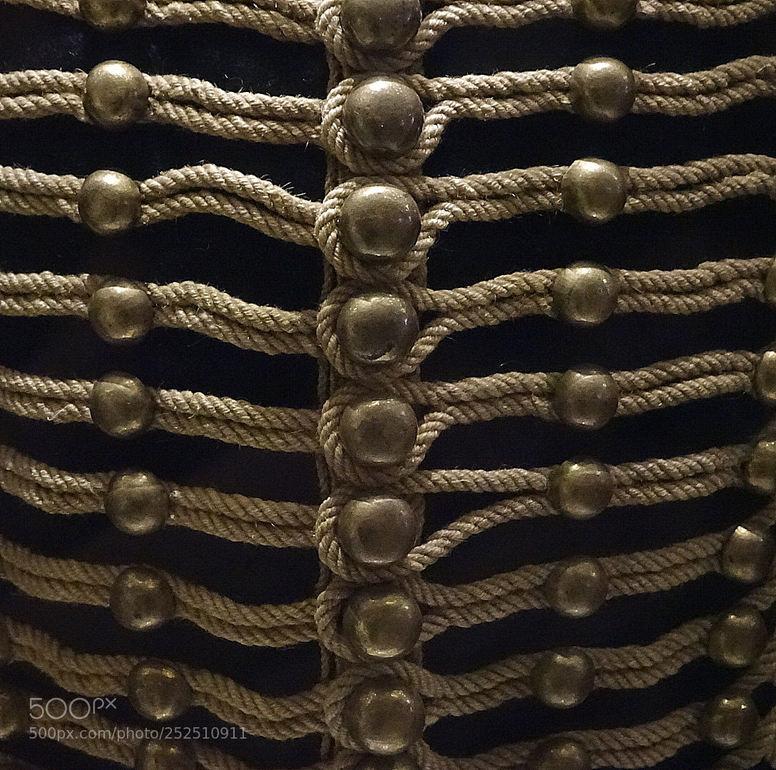 Sony DSC-HX90 sample photo. Exhibit of the state photography