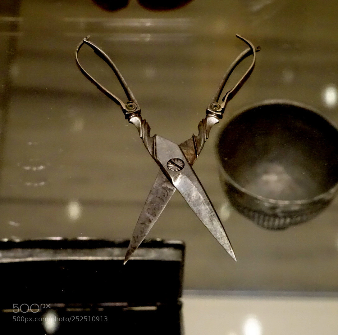 Sony DSC-HX90 sample photo. Exhibit of the state photography