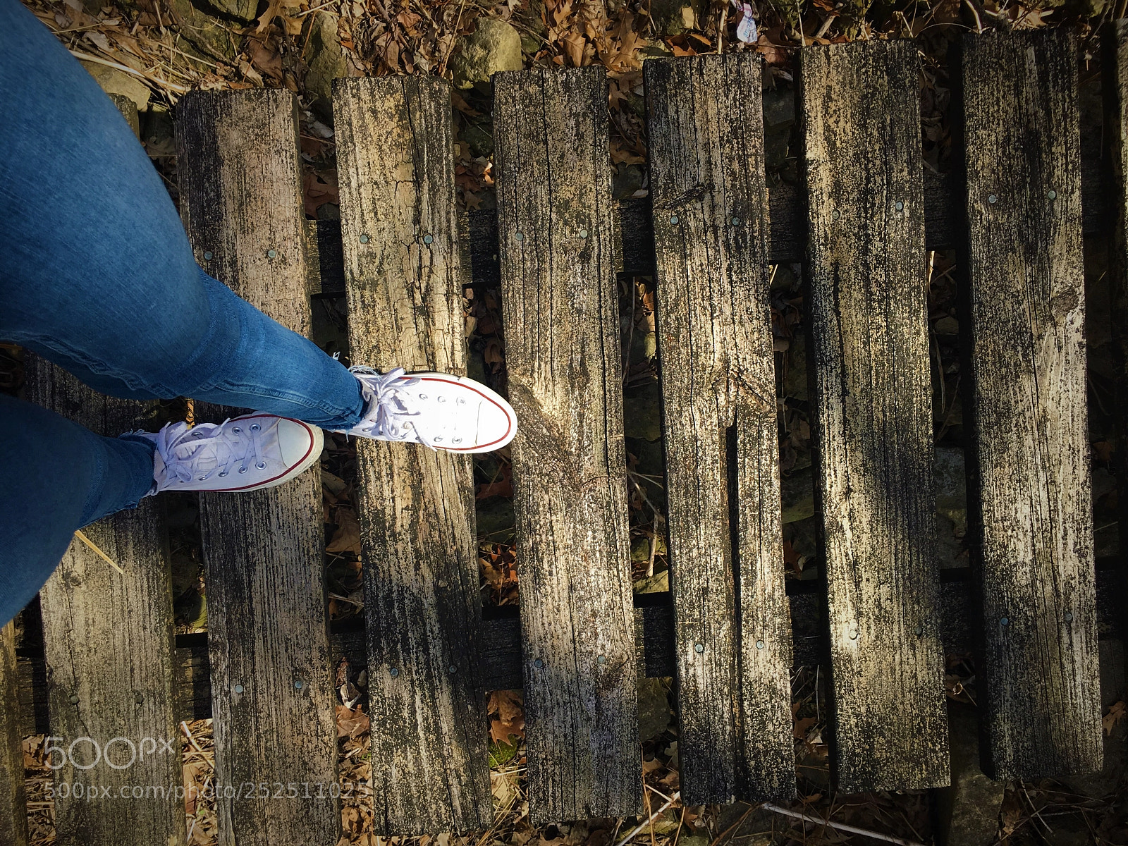 Apple iPhone 6s sample photo. A new adventure  photography