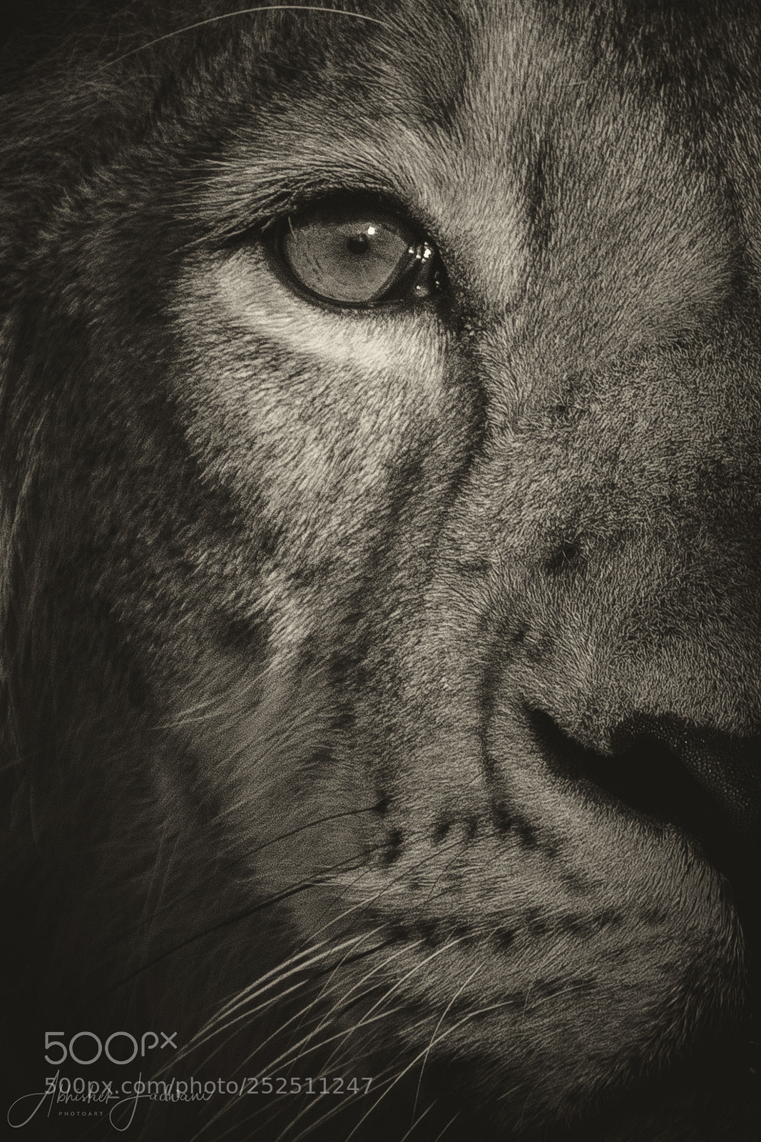 Canon EOS 7D Mark II sample photo. A prince's eye photography