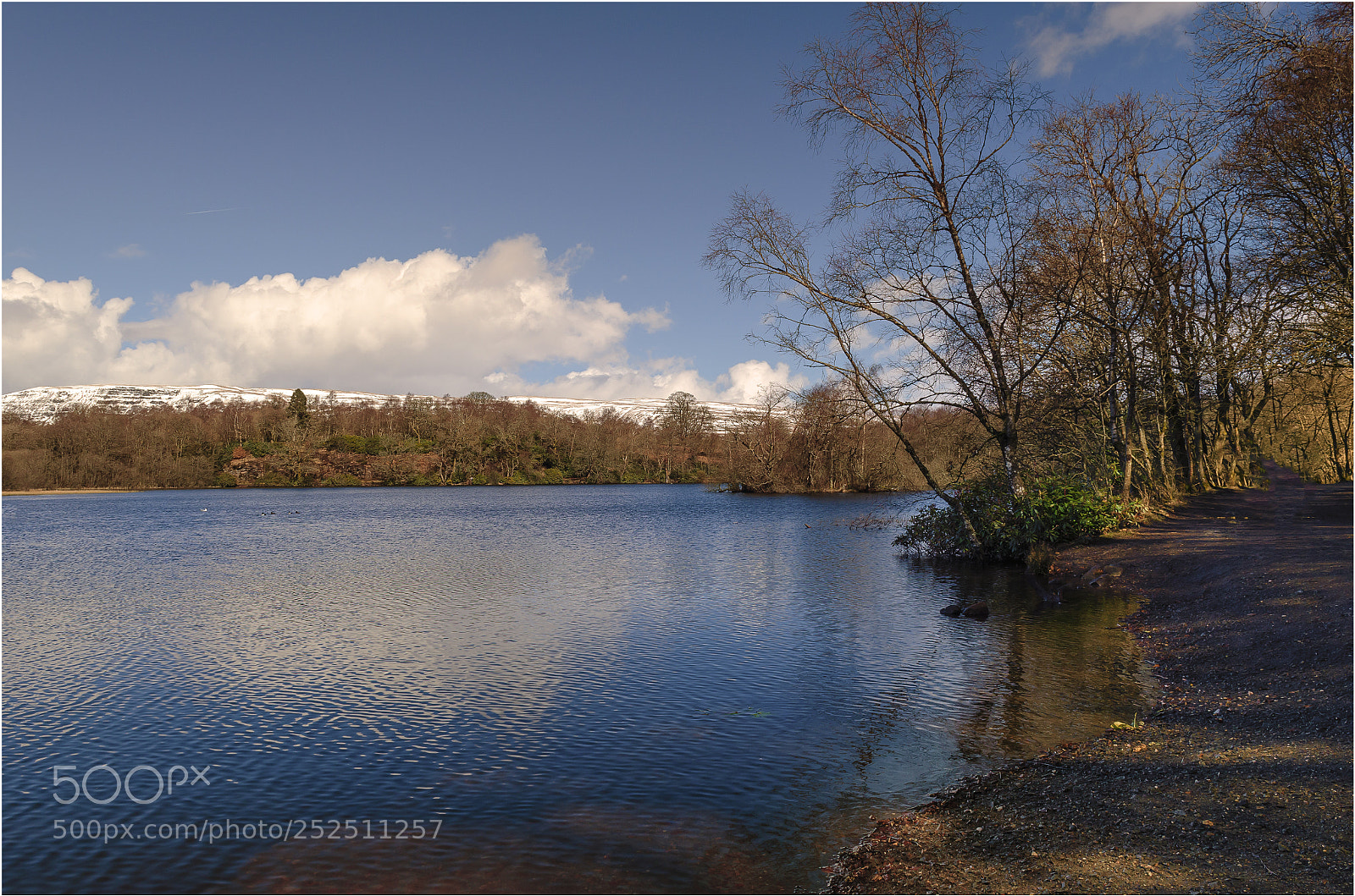 Nikon D7000 sample photo. Whangie&campsie fells photography