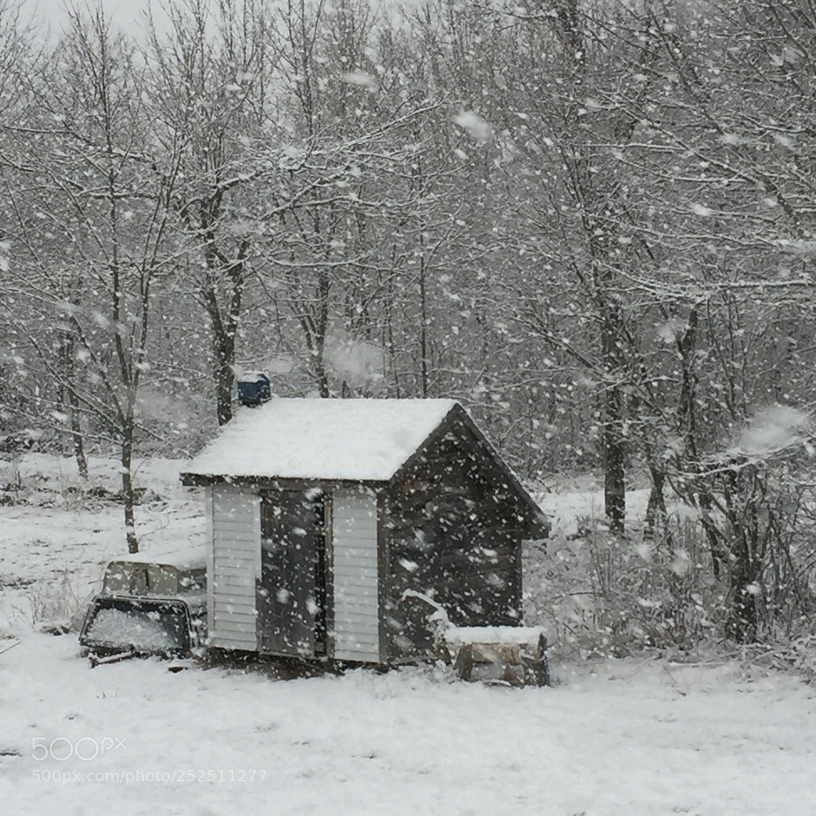 Apple iPhone 6 sample photo. Big snowflakes photography
