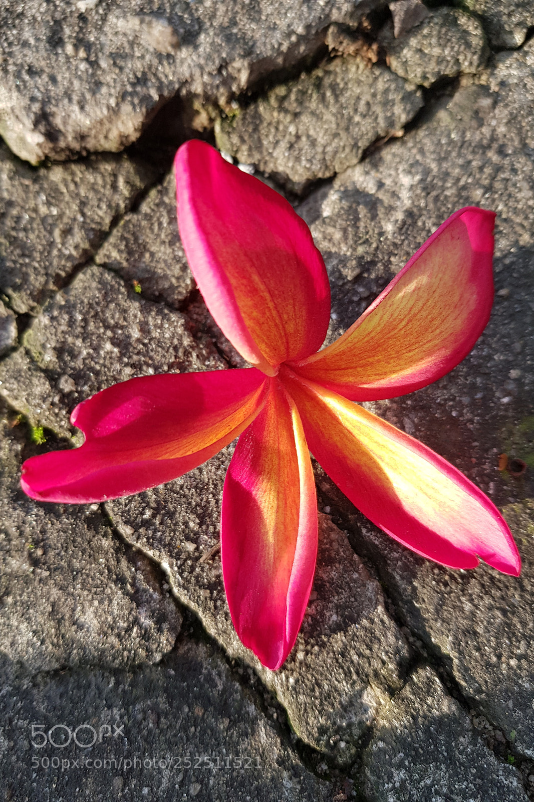 Samsung Galaxy S8 sample photo. Untitled photography