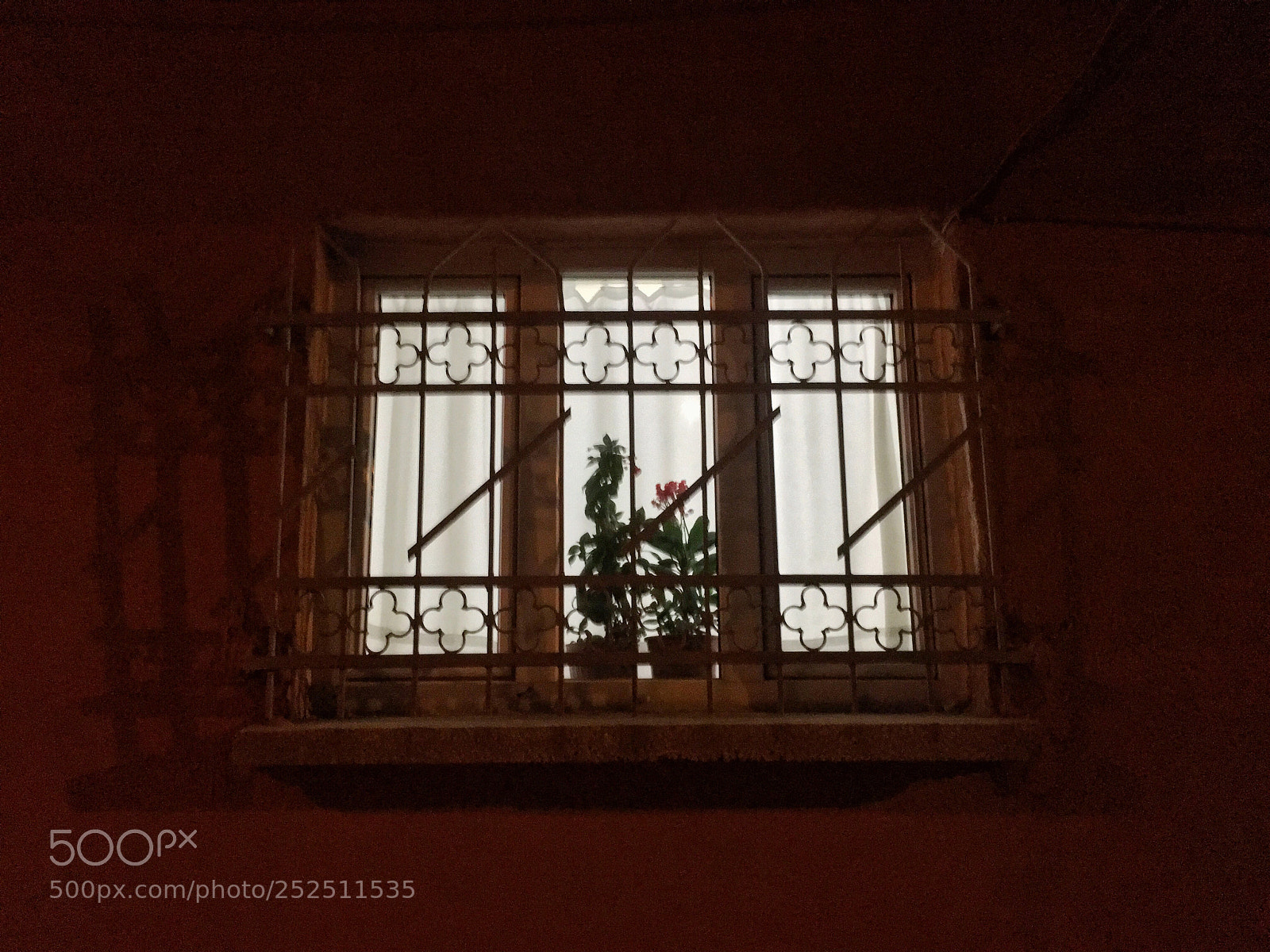 Apple iPhone 6s sample photo. Flowers in the window photography