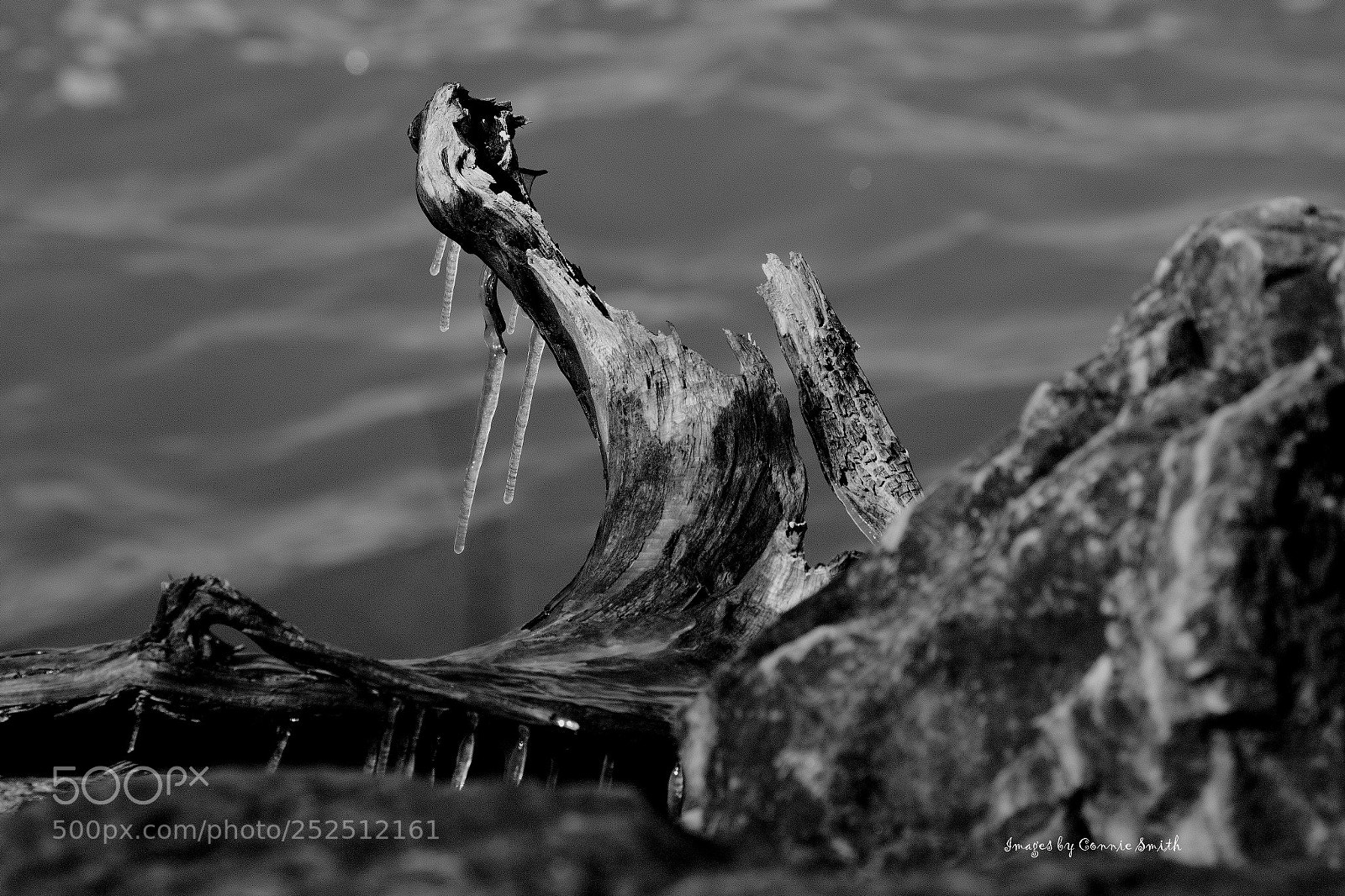 Canon EOS 7D Mark II sample photo. Ffity point icy bit photography