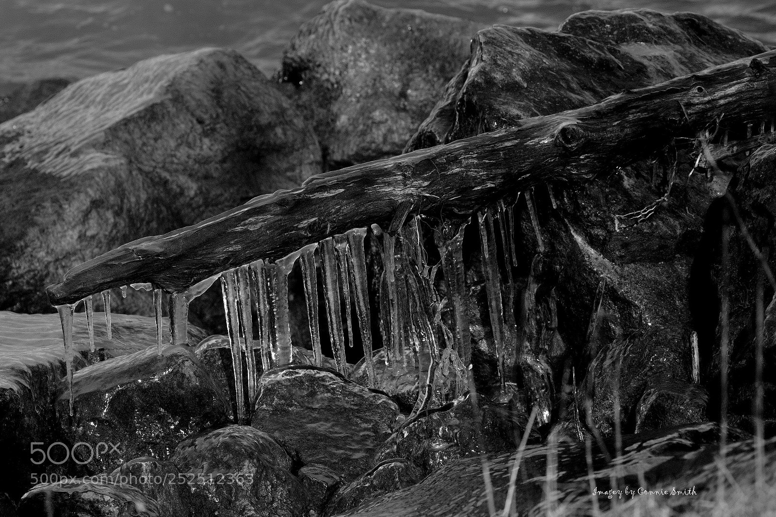 Canon EOS 7D Mark II sample photo. Fifty point icy log photography