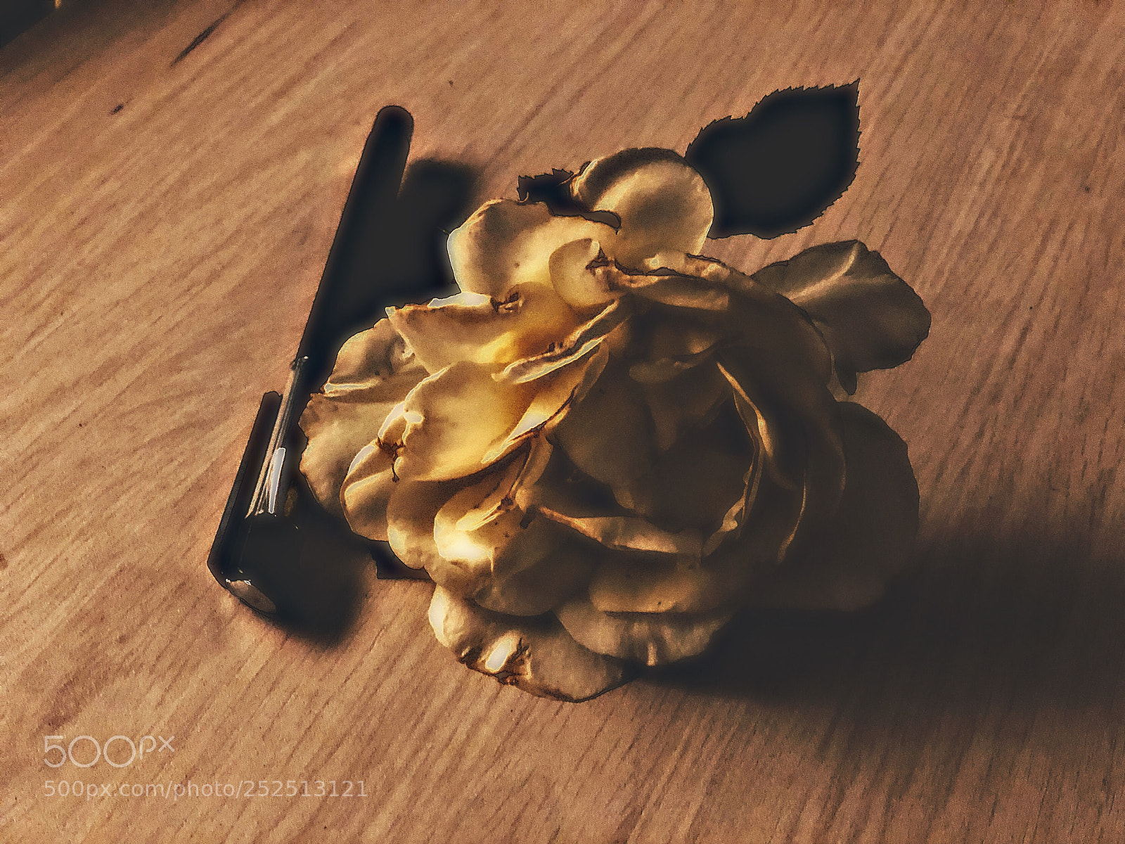 Apple iPhone X sample photo. Untitled photography