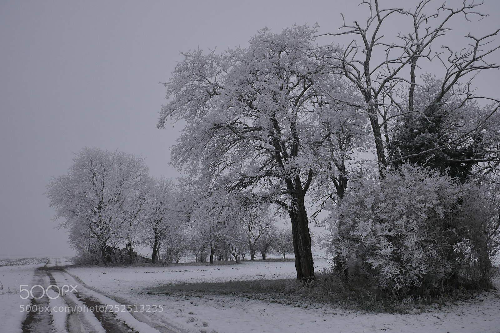 Panasonic DMC-G70 sample photo. Winter trail photography