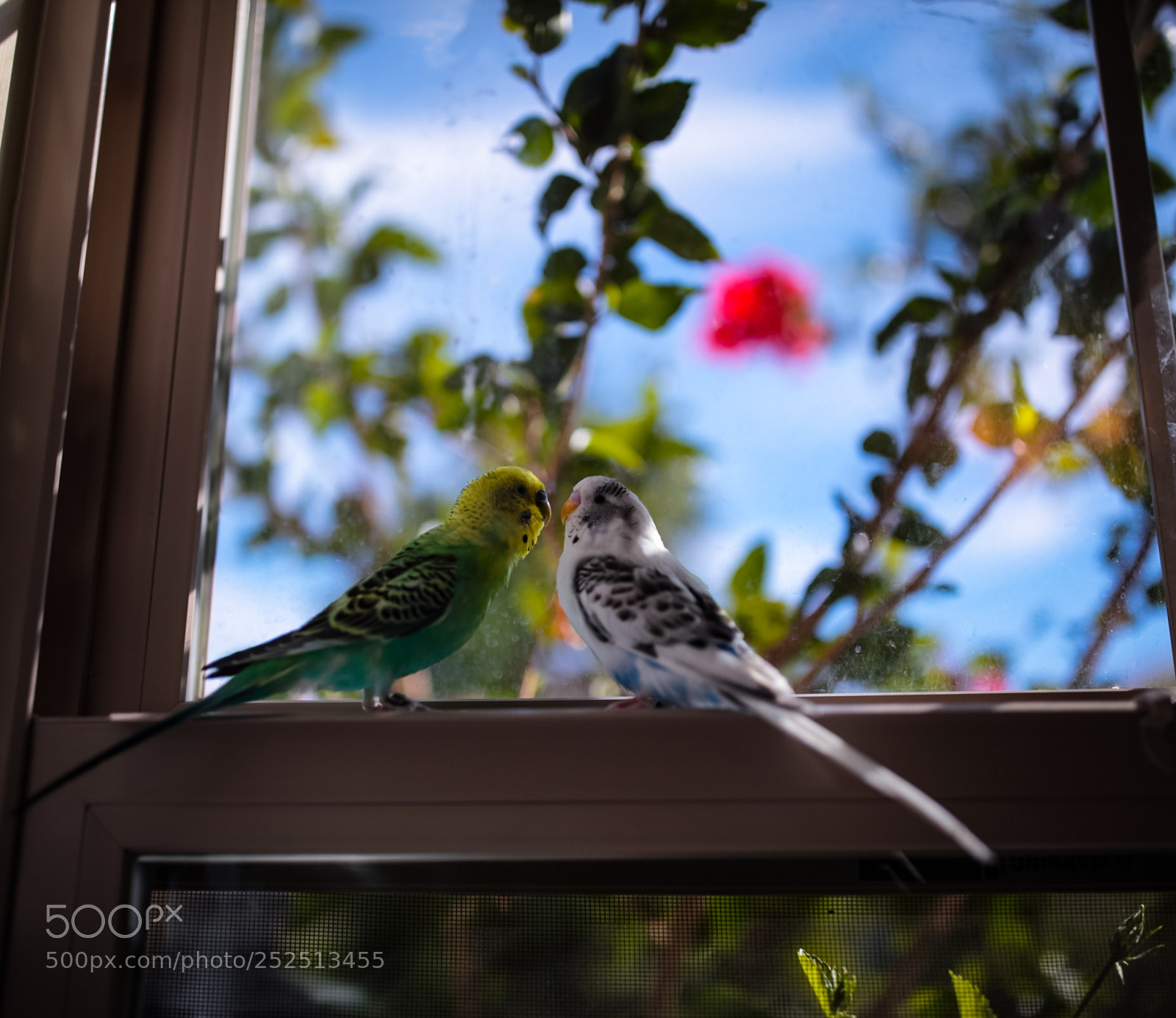 Canon EOS 5D Mark II sample photo. Together photography