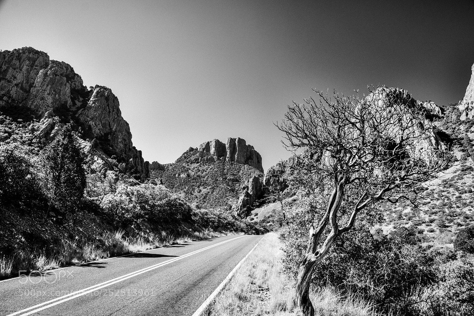 Nikon D5200 sample photo. Big bend photography