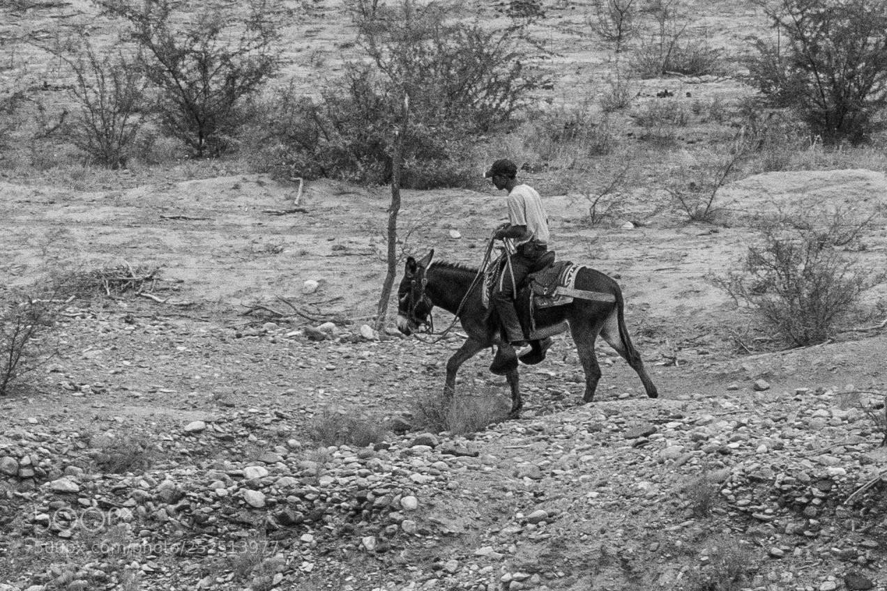 Nikon D5200 sample photo. Big bend np photography