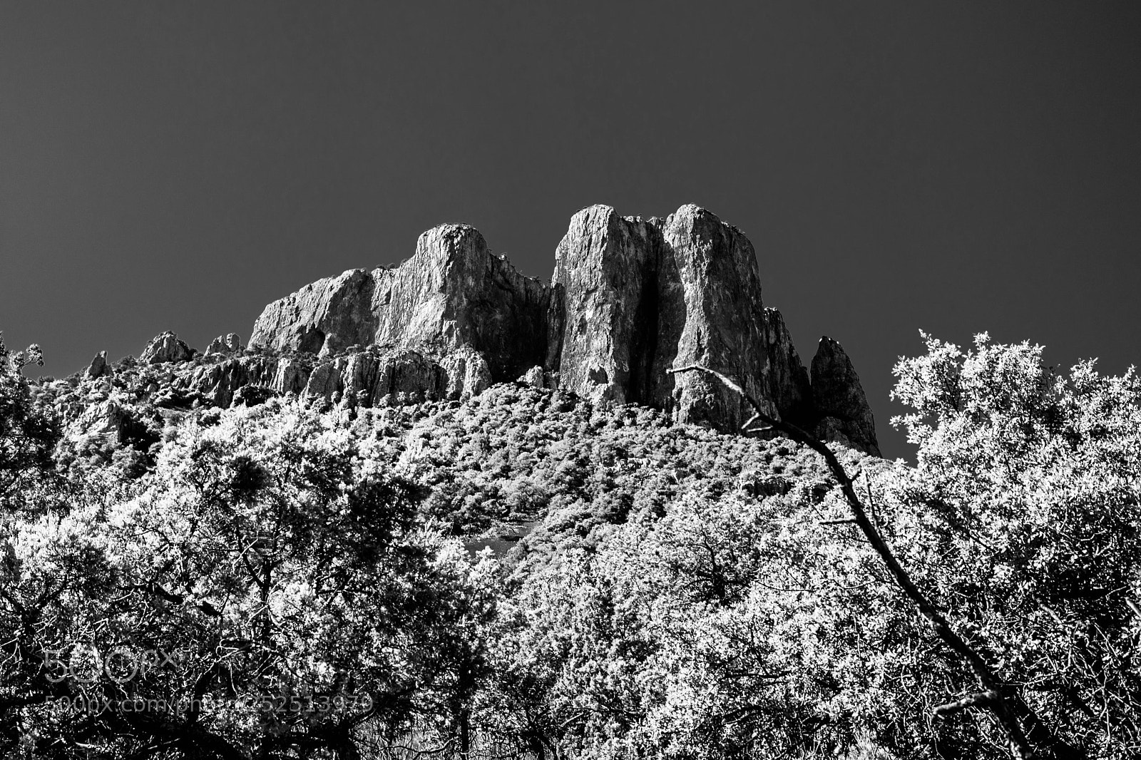 Nikon D5200 sample photo. Fort davis photography