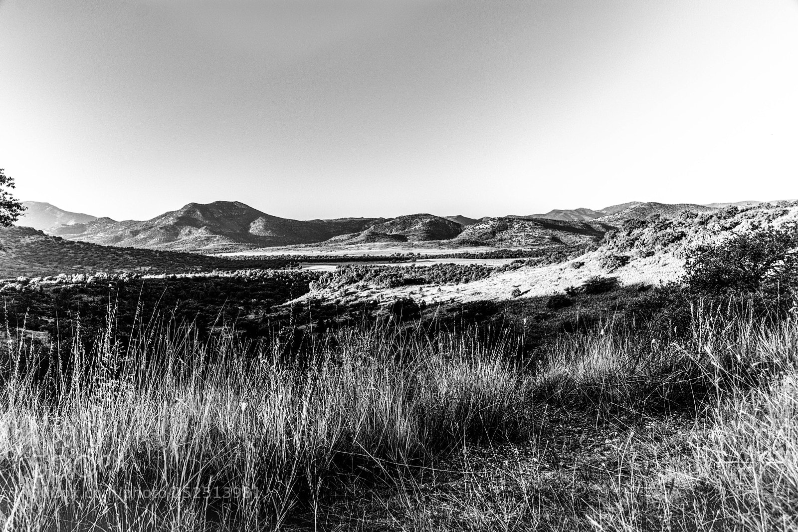 Nikon D5200 sample photo. Fort davis tx photography