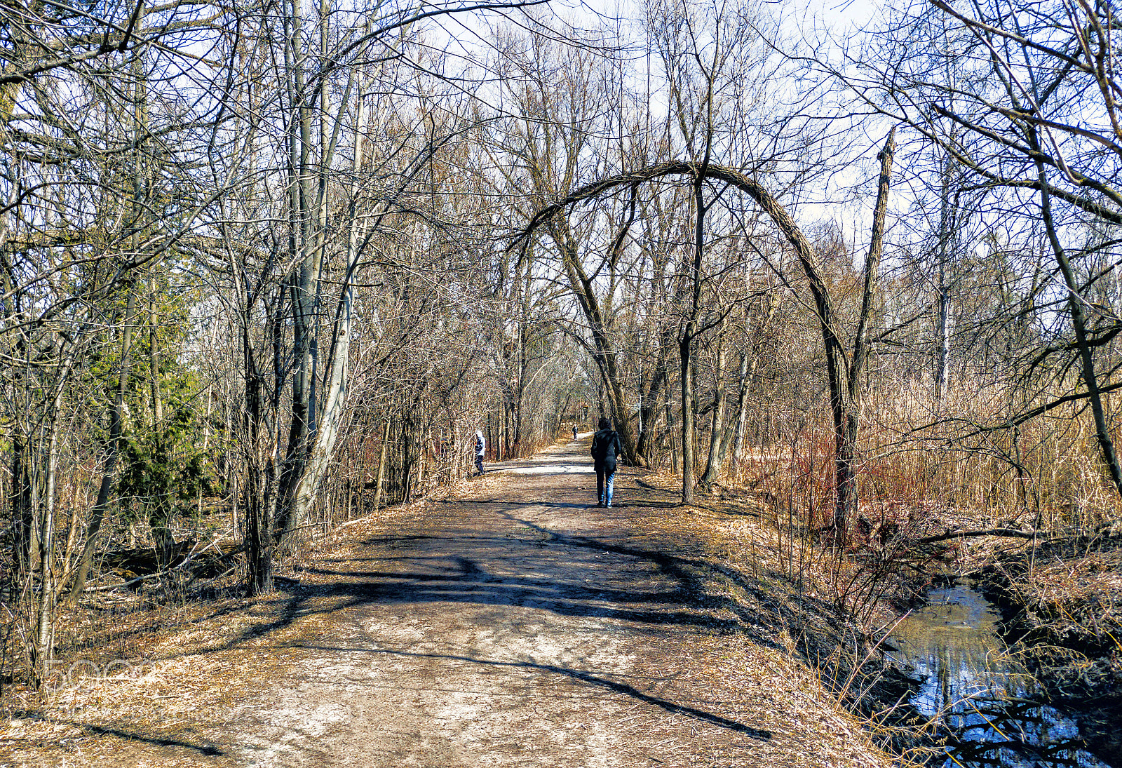 LG G5 sample photo. Mill pond park-richmond hill photography