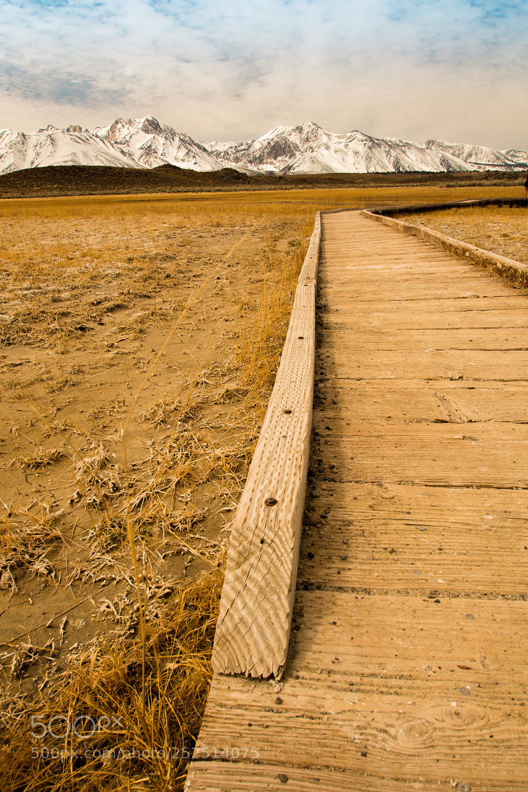 Nikon D7200 sample photo. Walking the plank  photography