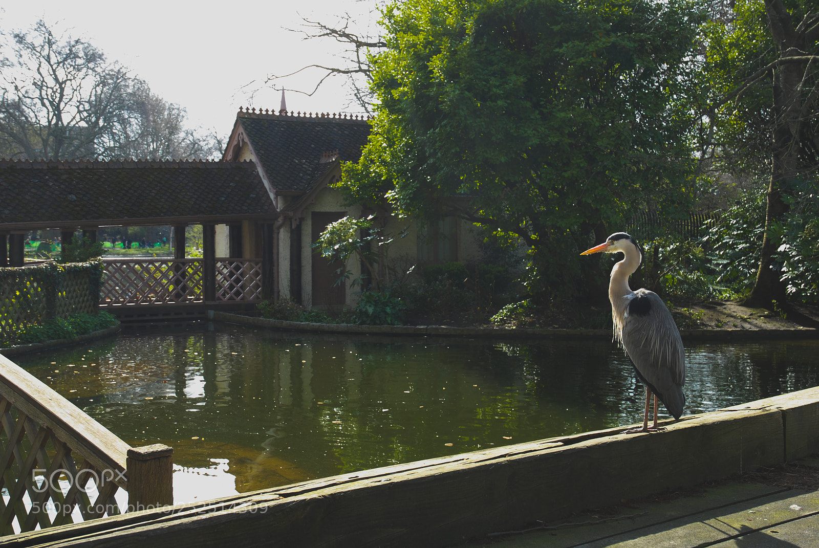 Nikon D200 sample photo. Sound of light. photography