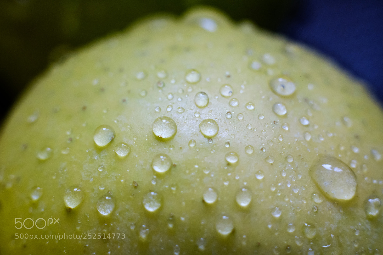 Fujifilm X-T2 sample photo. Wet fruit photography