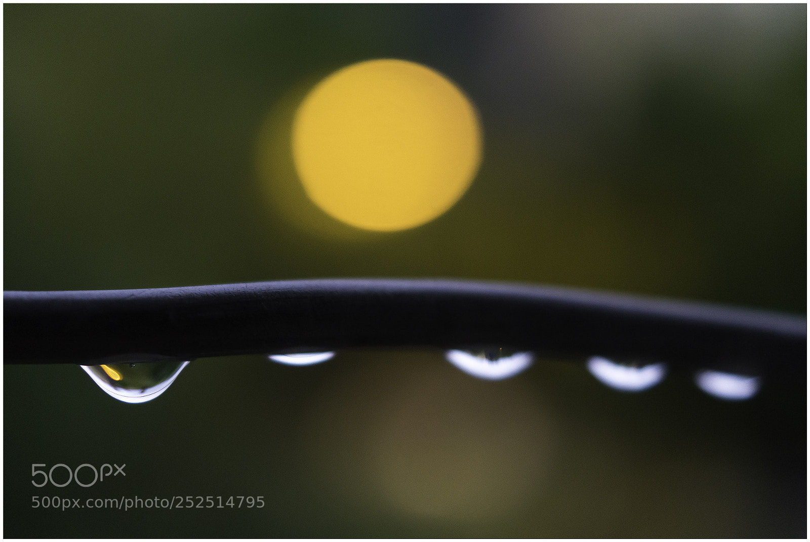 Sony a7 sample photo. Huellas de lluvia photography