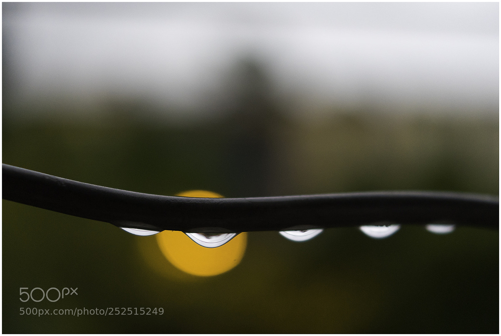 Sony a7 sample photo. Huellas de lluvia photography