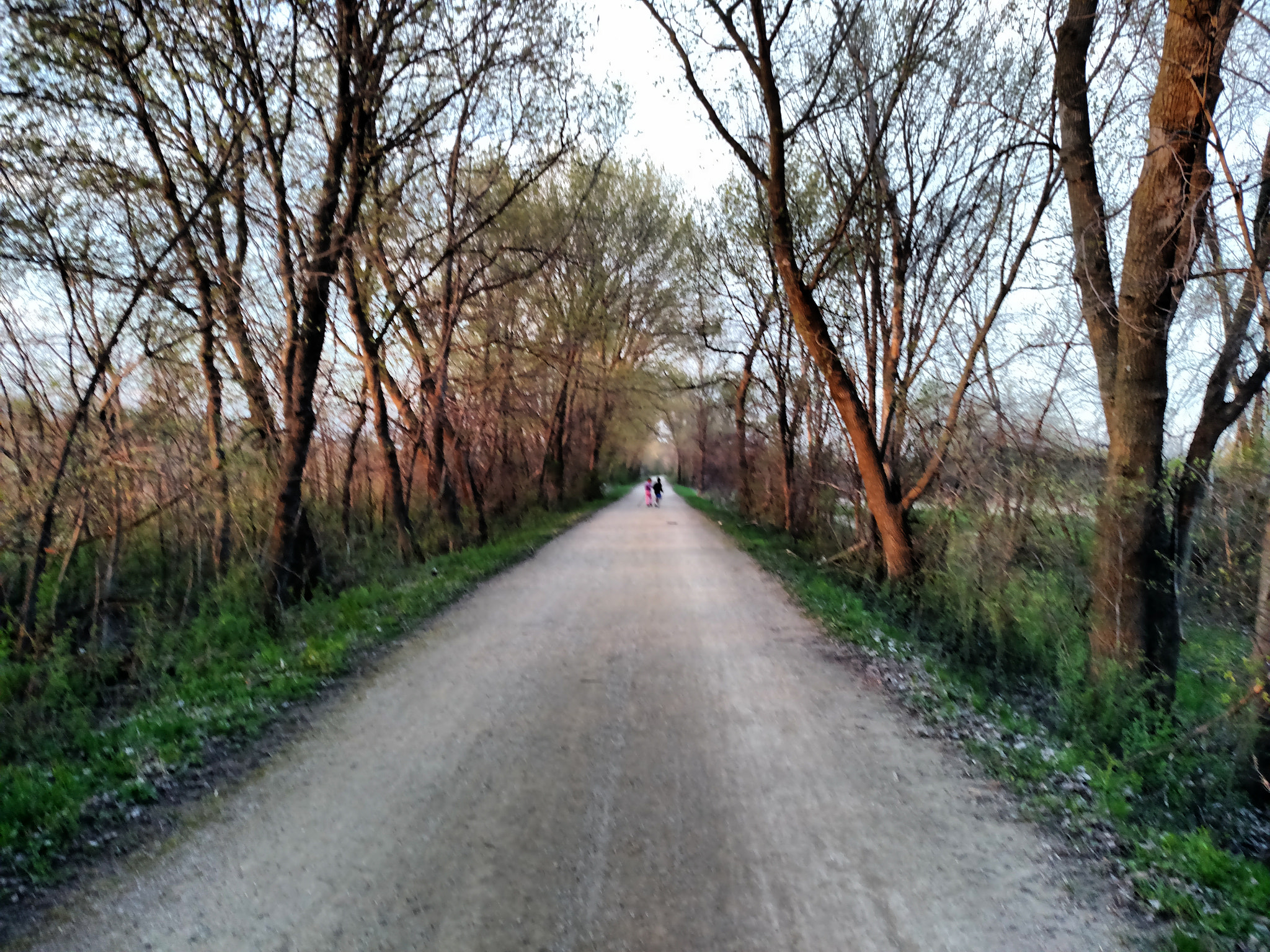 Motorola Droid Turbo sample photo. On a walk photography