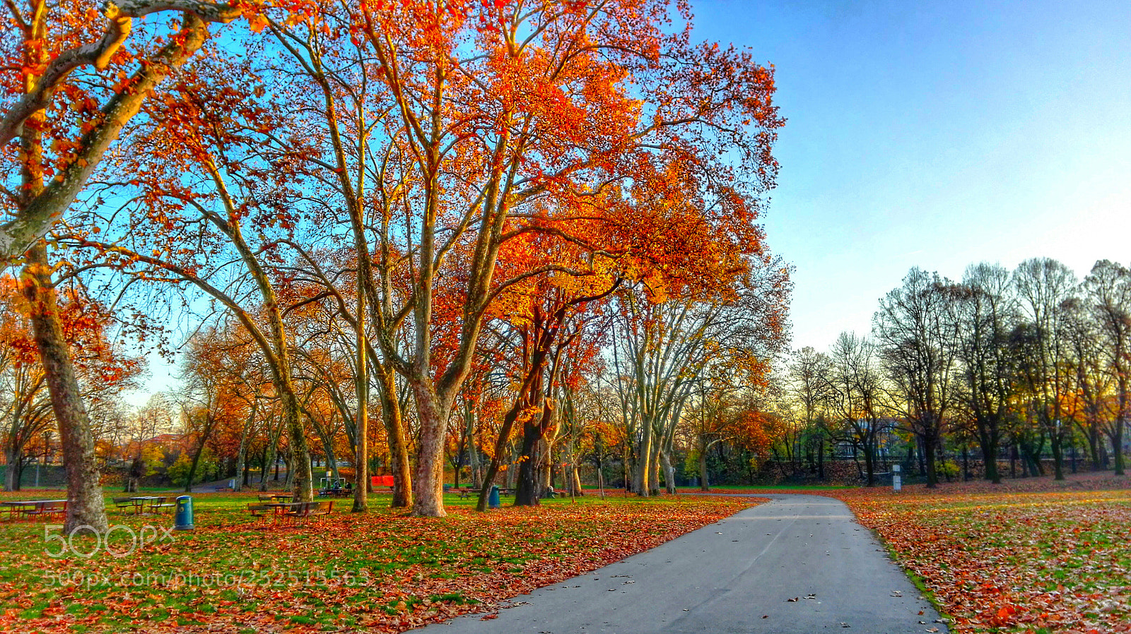 HUAWEI P8 Lite sample photo. Cittadella park in parma photography