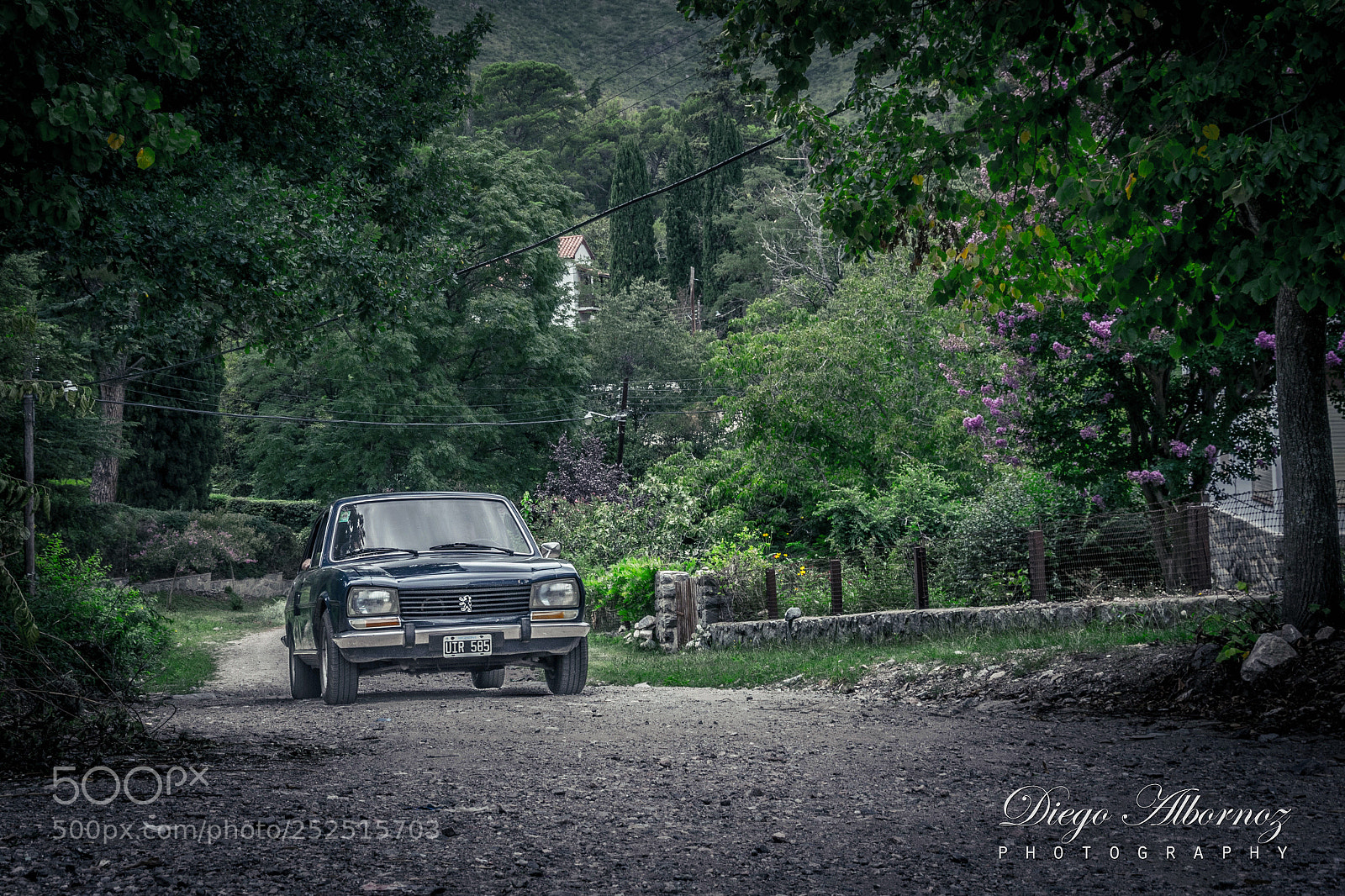 Nikon D5300 sample photo. The ways of the photography