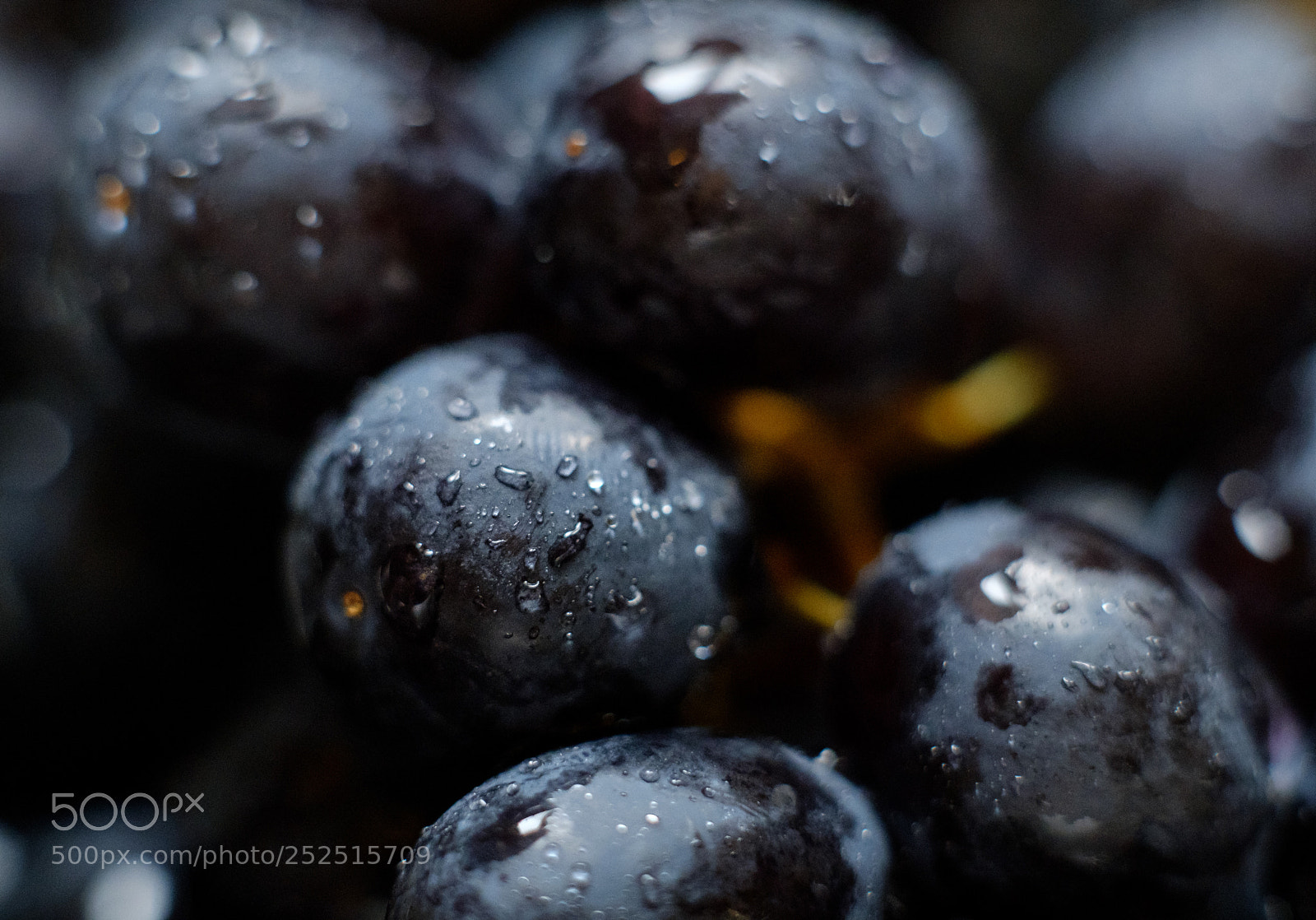 Fujifilm X-T2 sample photo. Grapes photography