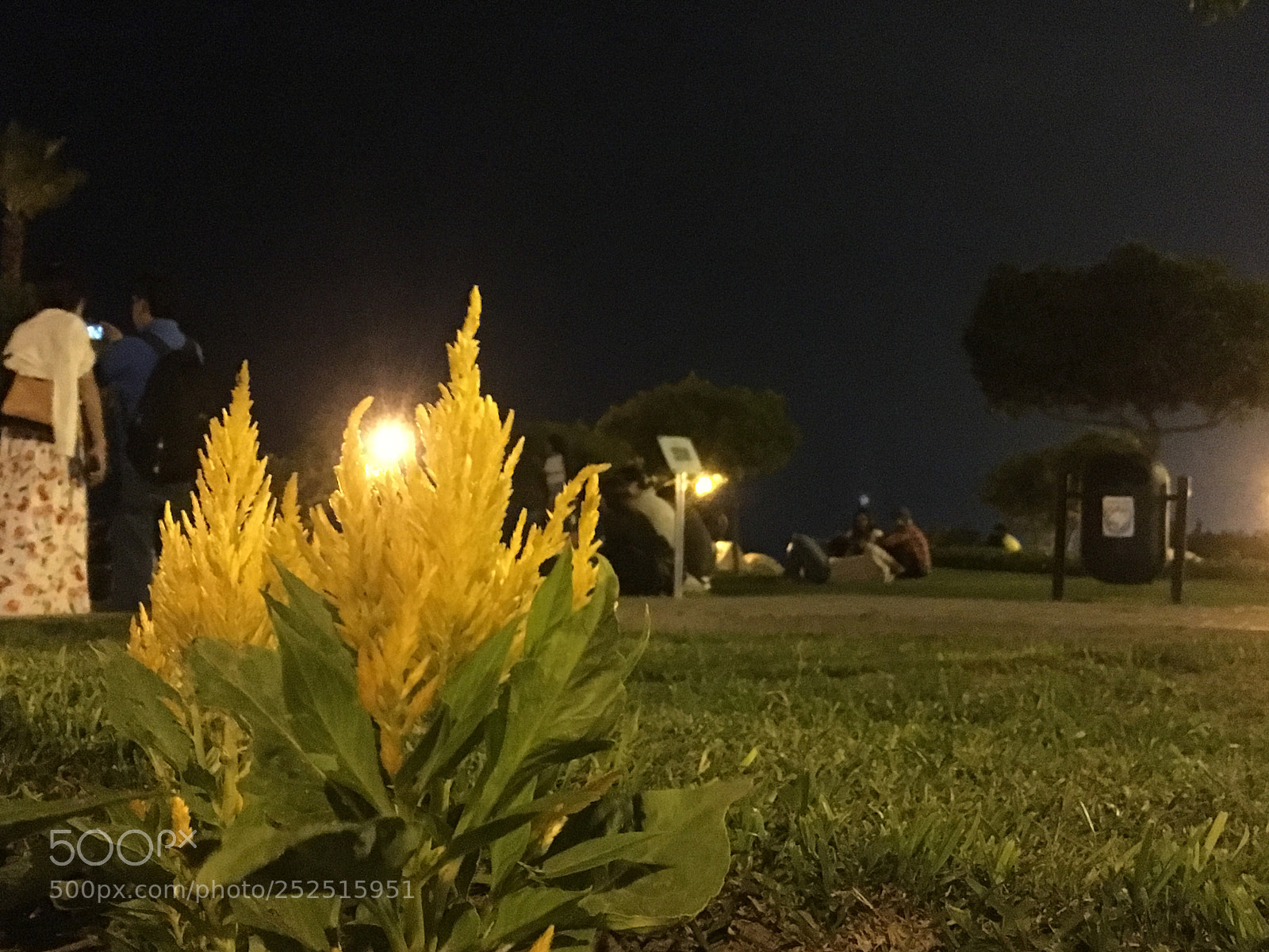 Apple iPhone 6s sample photo. Good nigth photography