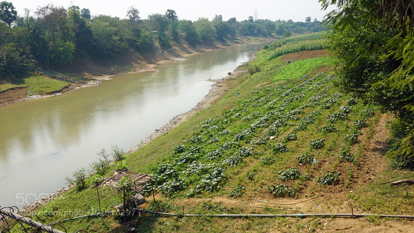 Sony a6000 sample photo. Farmland at tonle sap photography