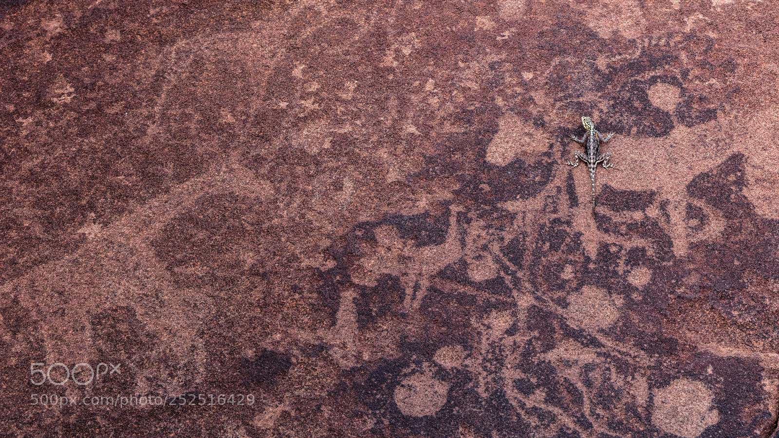 Canon EOS 5DS R sample photo. Twyfelfontein stone engravings photography