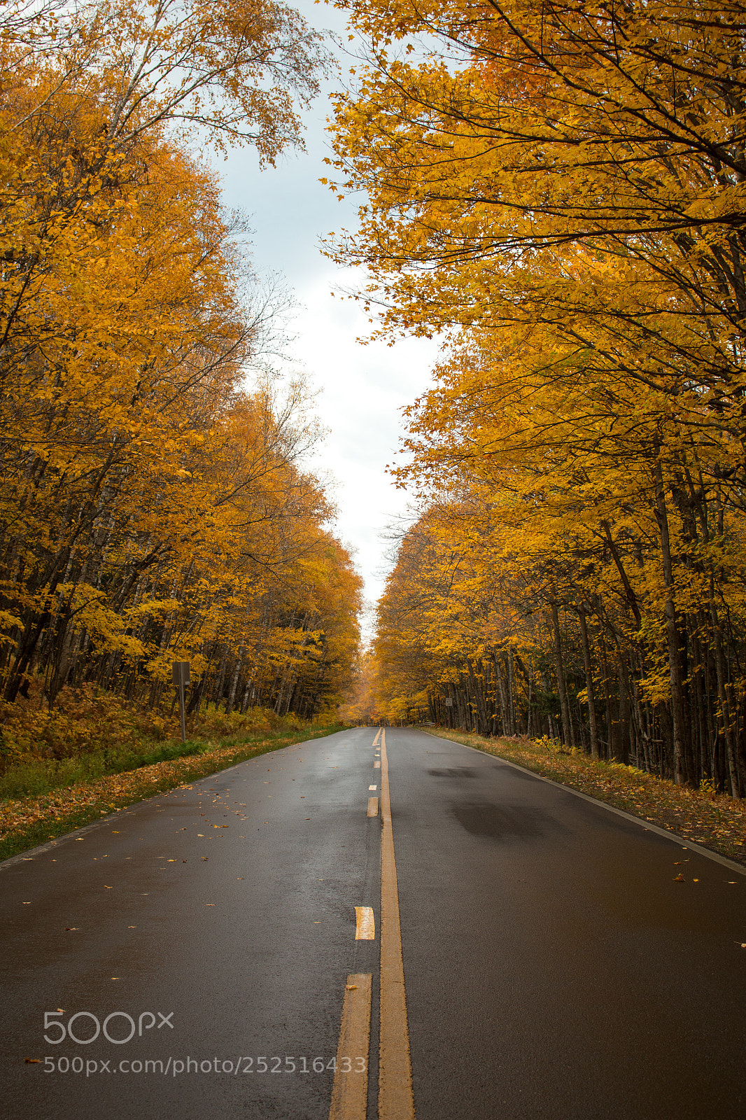 Canon EOS 70D sample photo. In the road photography