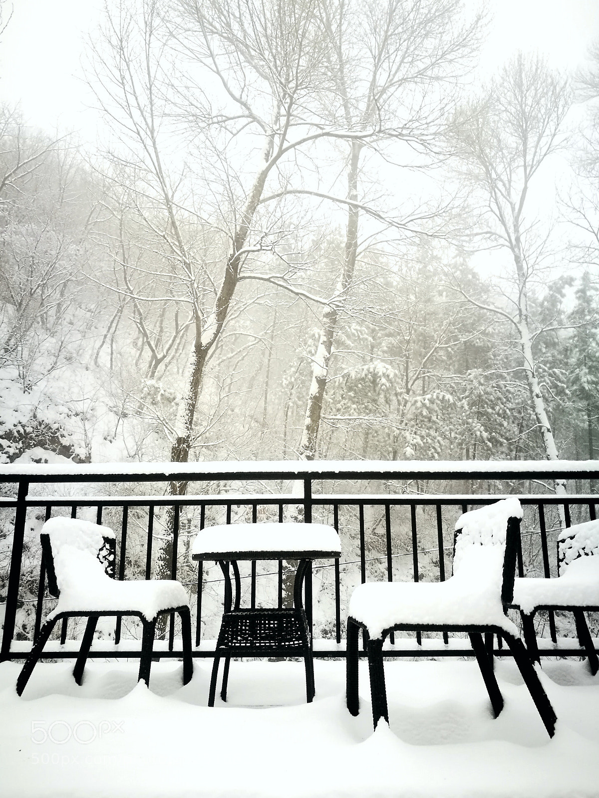 HUAWEI P9 Plus sample photo. Spring snow 2 photography